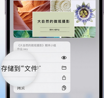 北京apple维修中心分享iPhone文件应用中存储和找到下载文件