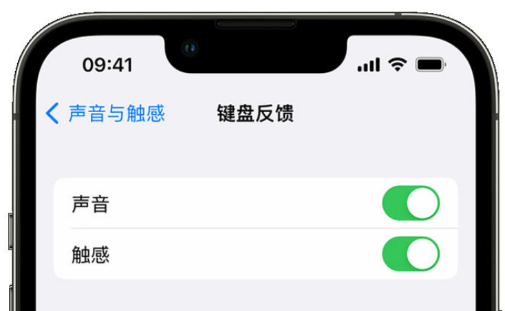 北京苹果手机维修分享iPhone 14触感键盘使用方法 