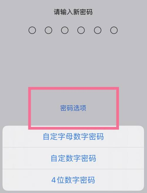 北京苹果14维修分享iPhone 14plus设置密码的方法 