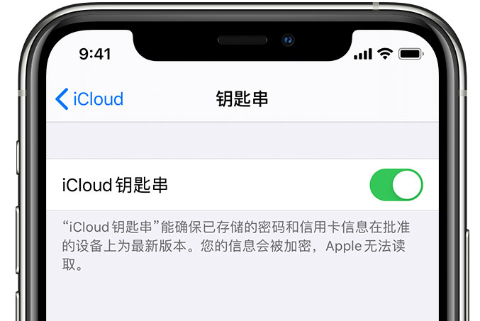 北京苹果手机维修分享在 iPhone 上开启 iCloud 钥匙串之后会储存哪些信息 