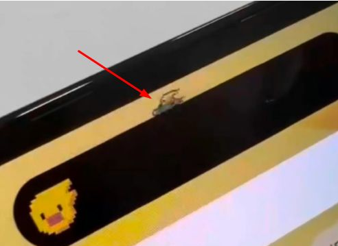 北京苹果14维修分享iPhone 14 Pro Max灵动岛怎么养宠物 