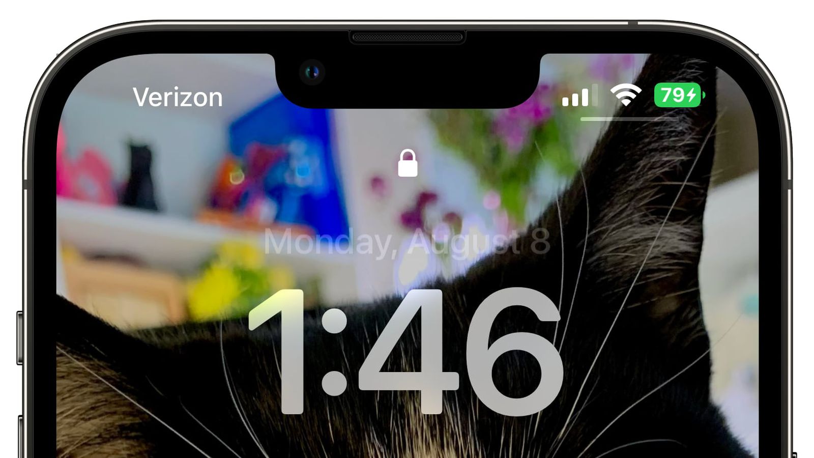 北京苹果手机维修分享iOS 16 beta 5 支持状态栏显示电池百分比，如何开启？支持哪些机型 