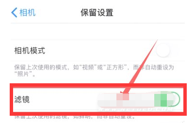 北京苹果13维修分享iPhone13拍照有绿点是怎么回事 
