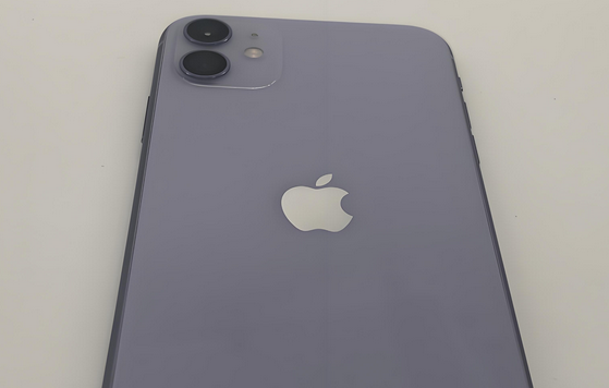 北京苹果11系统维修分享iPhone11手机系统崩溃无法开机如何解决 